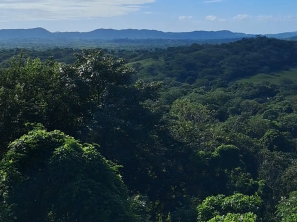 El Capulin_farm_1_Horizonte_Nica