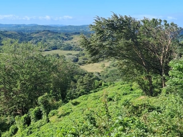 El Capulin_farm_Horizonte_Nica