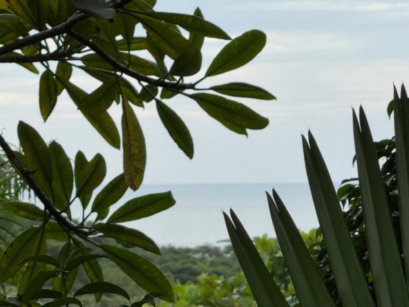 Little_Bavaria_Casita_ Ocean_View_Horizonte_Nica