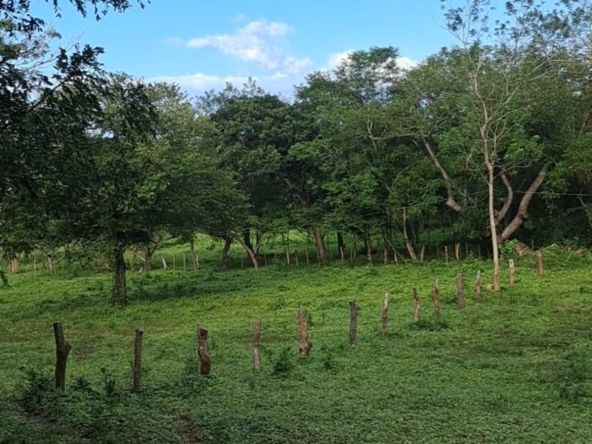 Property_view_El Capulin_farm_Horizonte_Nica