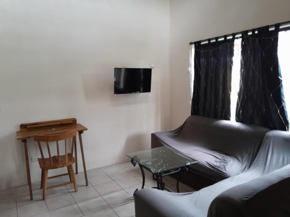 casita_tony_livingroom_horizonte_nica