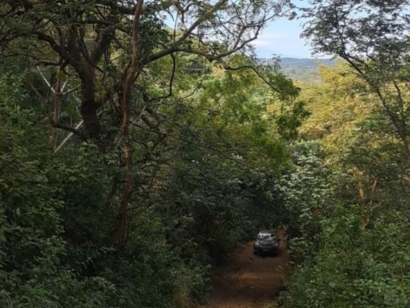 entrance_El Capulin_farm_Horizonte_Nica