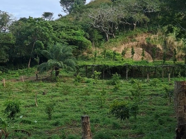 property_El Capulin_farm_Horizonte_Nica