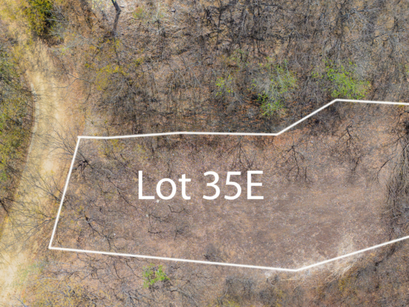 Lot35E-1