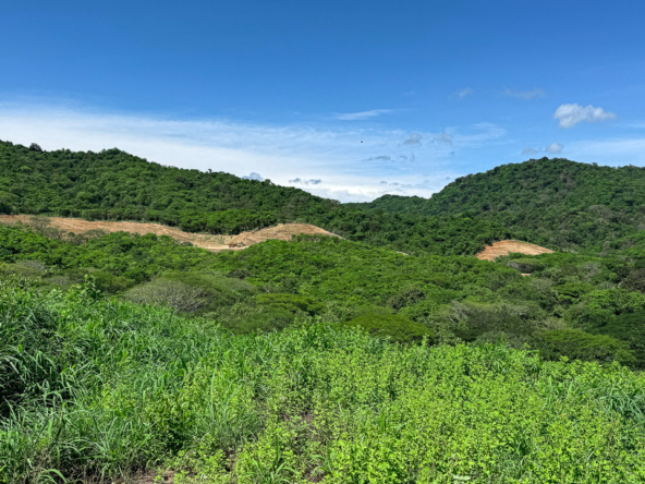 Remanso Beach Tamarindo Las Cumbres Lot 3 REMAX Coastal Properties -1
