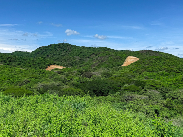 Remanso Beach Tamarindo Las Cumbres Lot 3 REMAX Coastal Properties -2