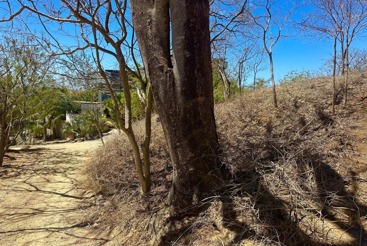 Prime ocean view land Playa Maderas near Playa Marsella Nicaragua