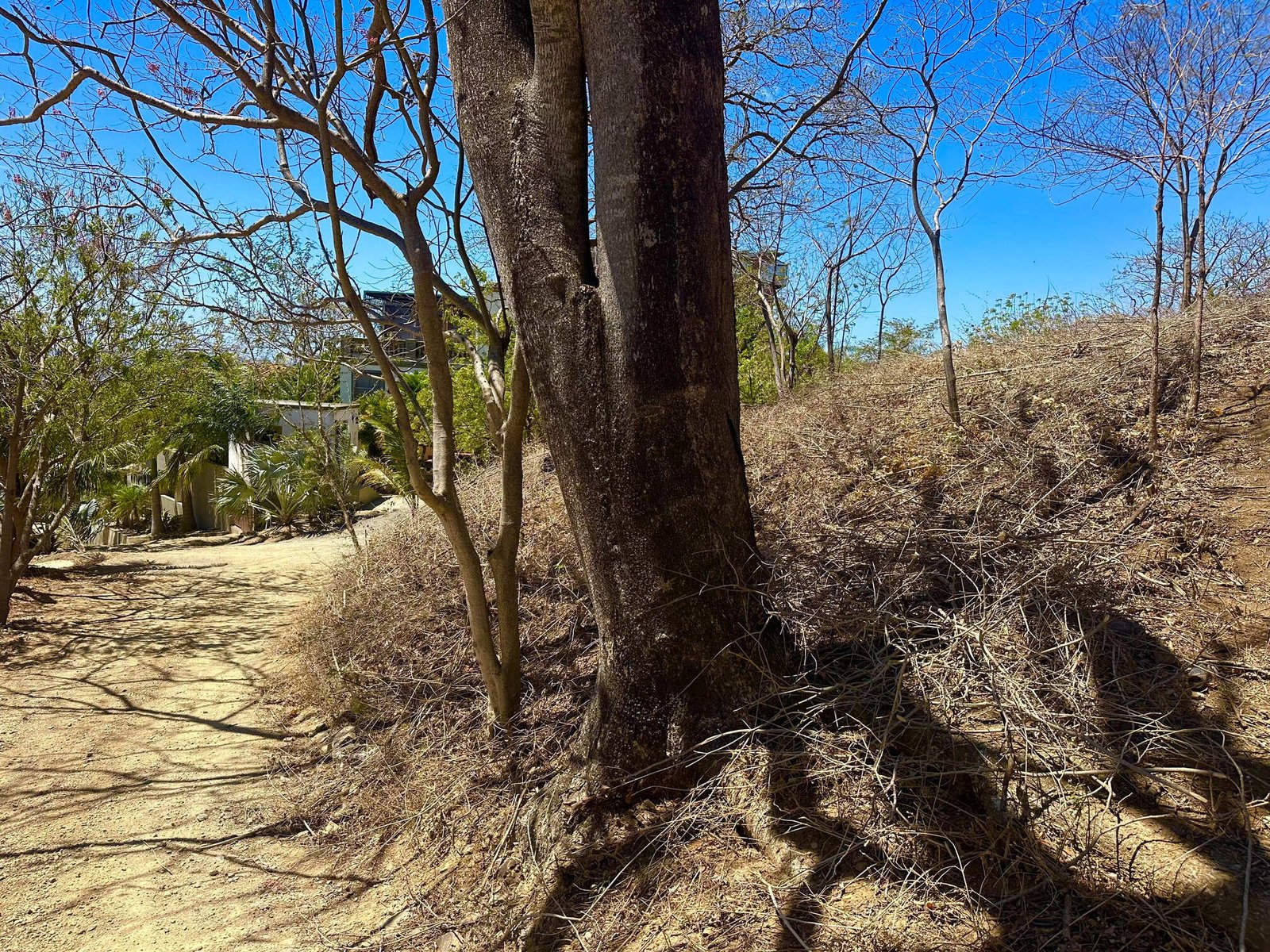 Prime ocean view land Playa Maderas near Playa Marsella Nicaragua