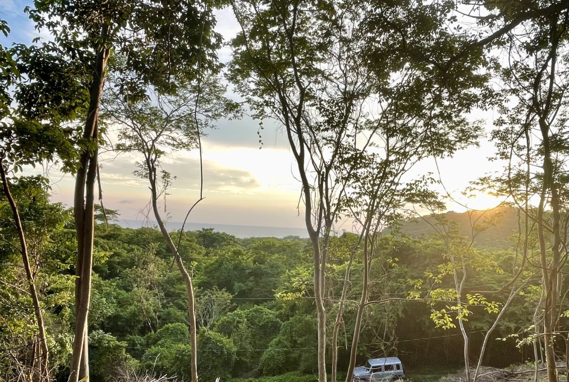 Ocean view land ideal for eco-resort or boutique hotel in Playa Yankee
