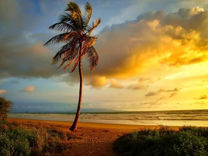 Investment property near Playa Yankee and the new Coastal Highway in Nicaragua