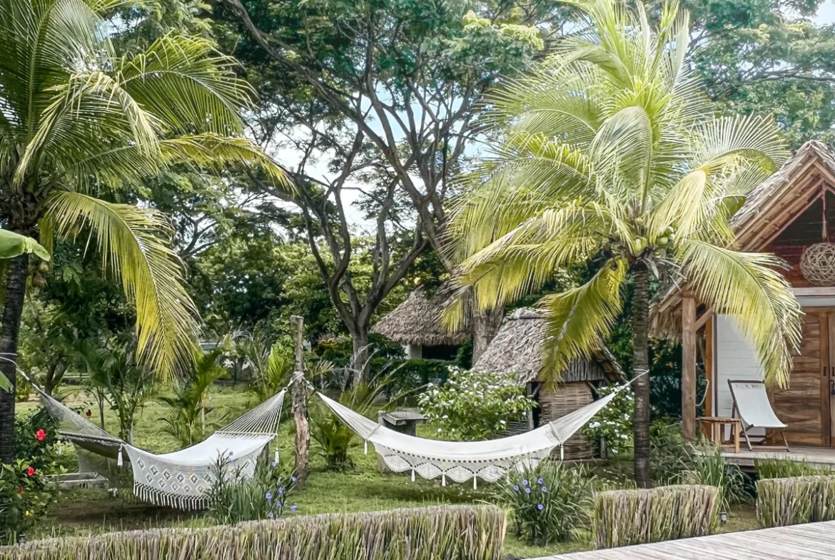 Tropical garden with palm tree and thatched-roof bungalows at Monoloko Lodge, Popoyo, Nicaragua