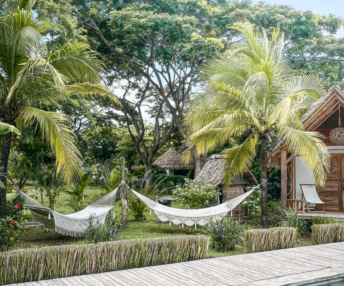 Tropical garden with palm tree and thatched-roof bungalows at Monoloko Lodge, Popoyo, Nicaragua