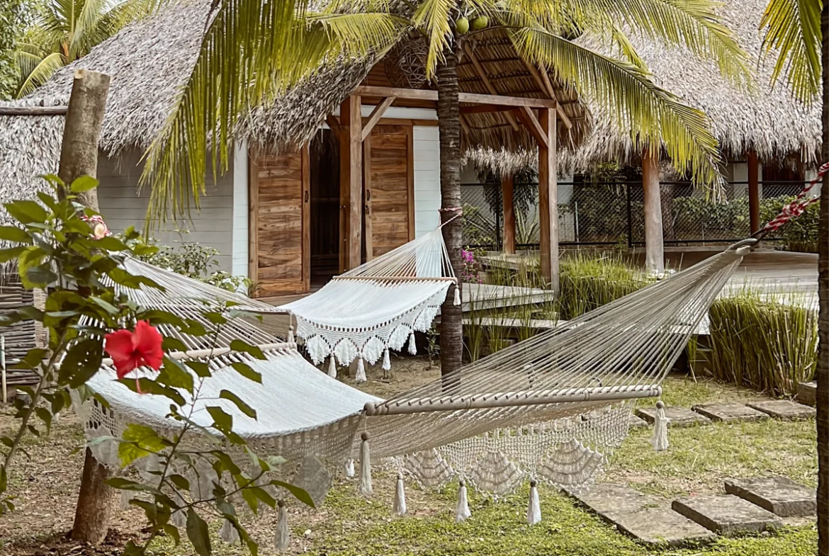 Hammocks among palm trees in the tropical garden at Monoloko Lodge, Popoyo, Nicaragua