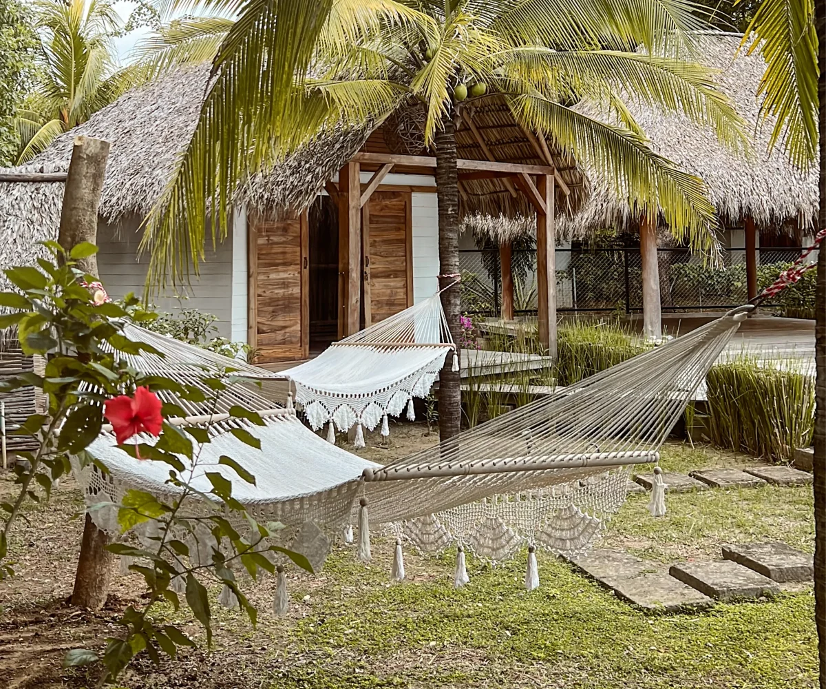 Hammocks among palm trees in the tropical garden at Monoloko Lodge, Popoyo, Nicaragua