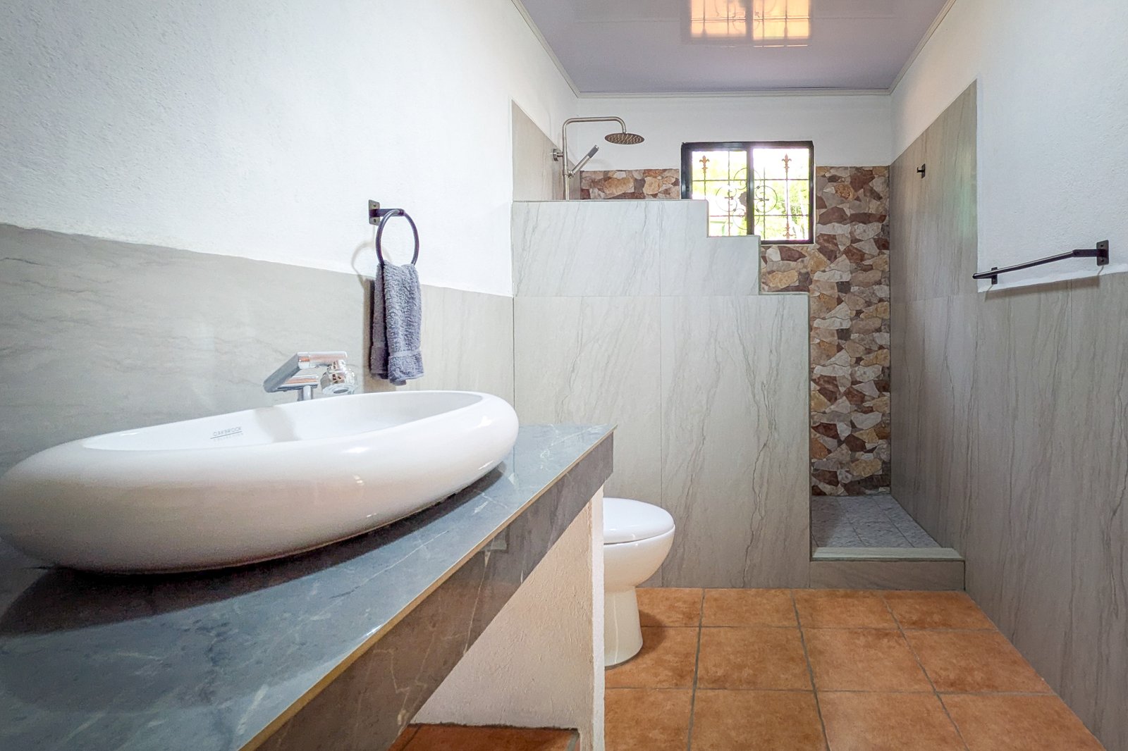 Ensuite bathroom with walk in shower