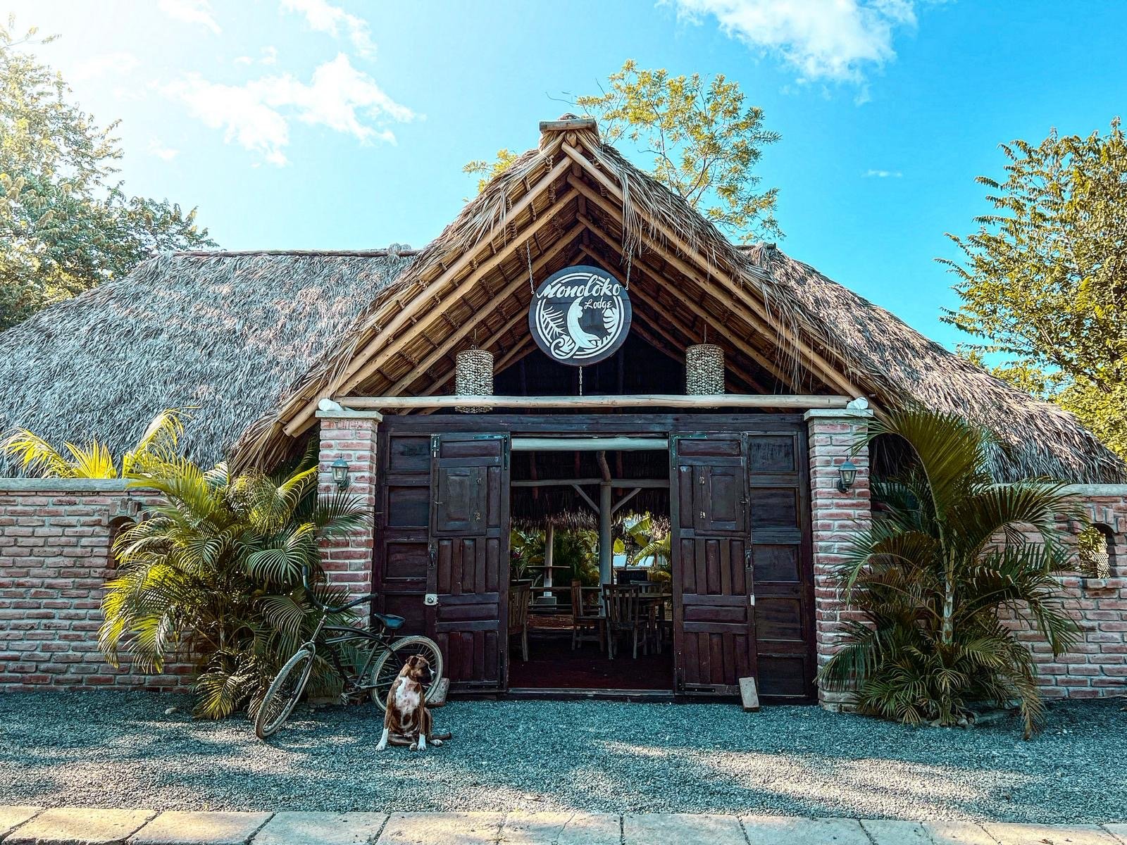 Large wooden entrance gate at Monoloko Lodge with the lodge dog waiting outside, near Playa Santana, Popoyo, Nicaragua