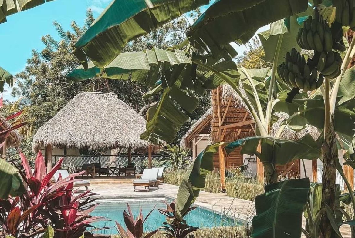 Swimming pool surrounded by tropical gardens and palm trees at Monoloko Lodge, Popoyo, Tola, Nicaragua