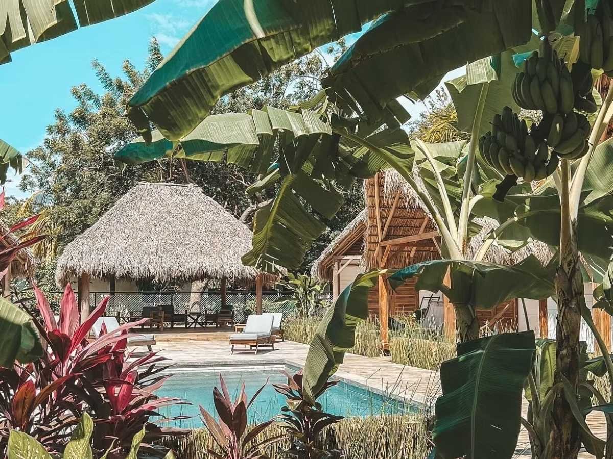 Swimming pool surrounded by tropical gardens and palm trees at Monoloko Lodge, Popoyo, Tola, Nicaragua